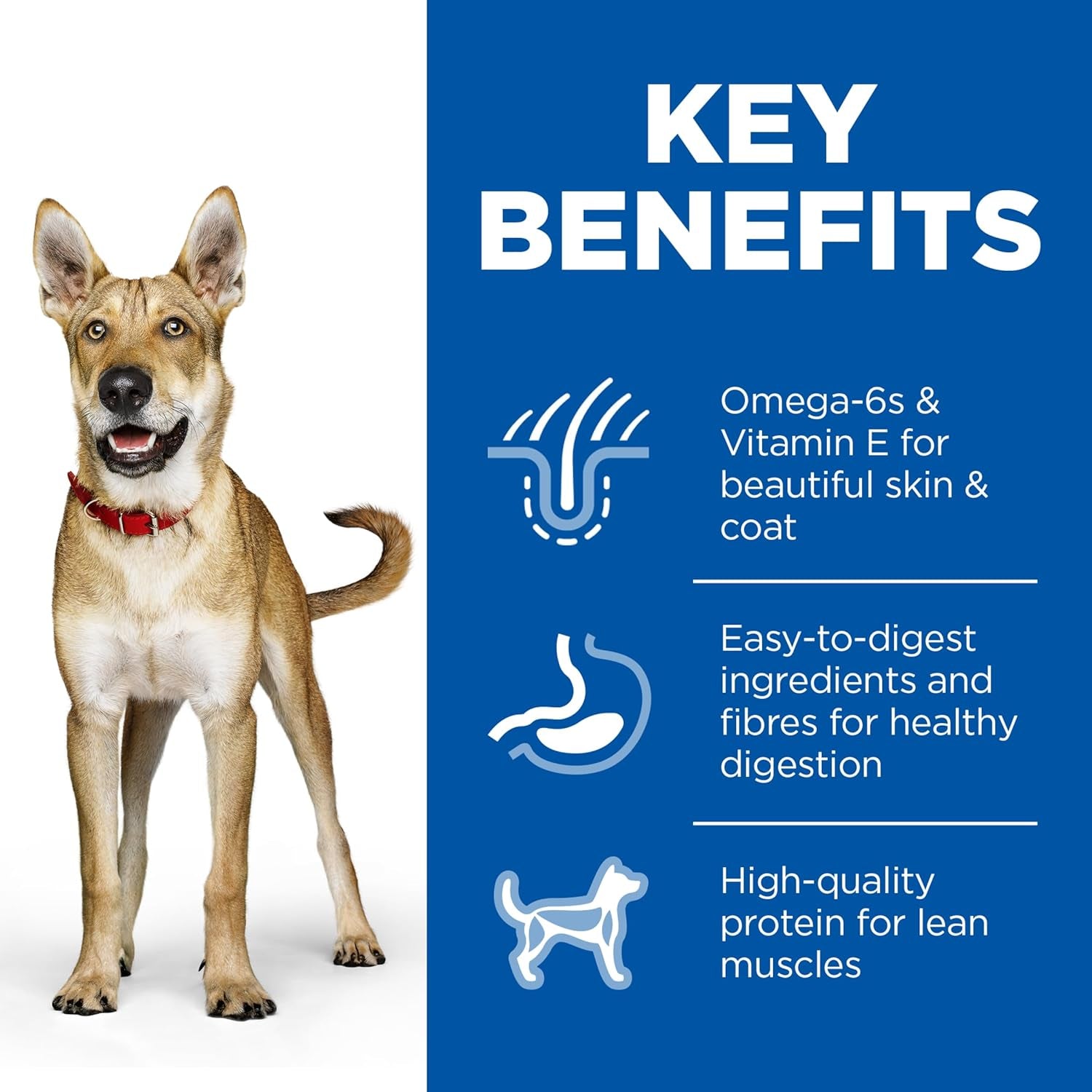 Adult with Beef & Barley Canned Wet Dog Food 12X370G